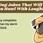 Best Dog Jokes That Will Make You Howl With Laughter