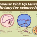 Ribosome Pick Up Lines set BioFlirtasy for science lovers.flirtistic.com