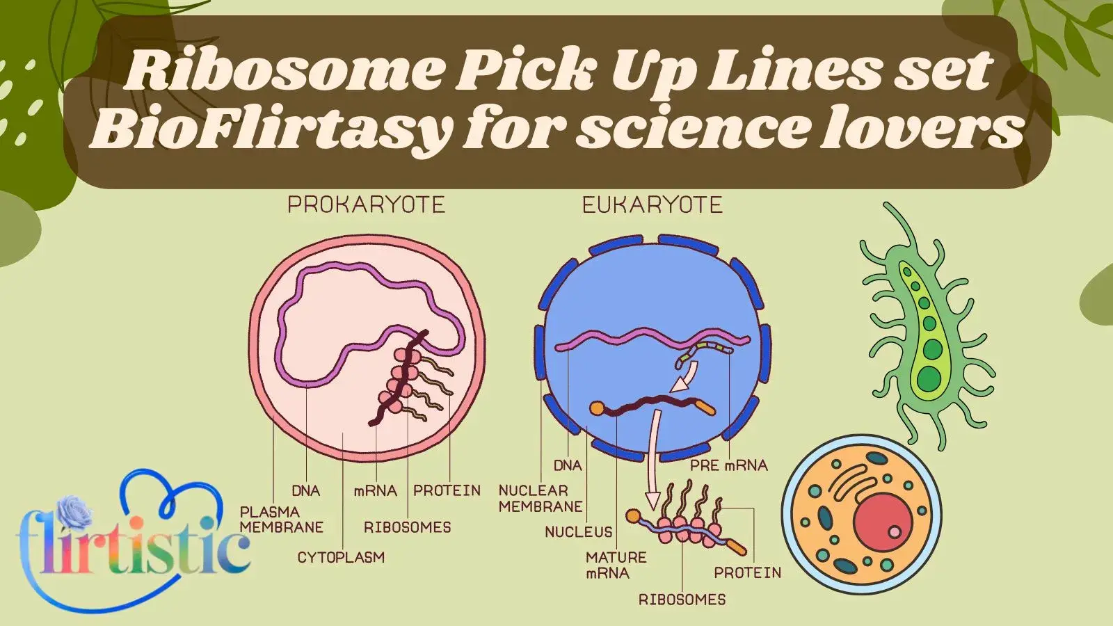 Ribosome Pick Up Lines set BioFlirtasy for science lovers.flirtistic.com