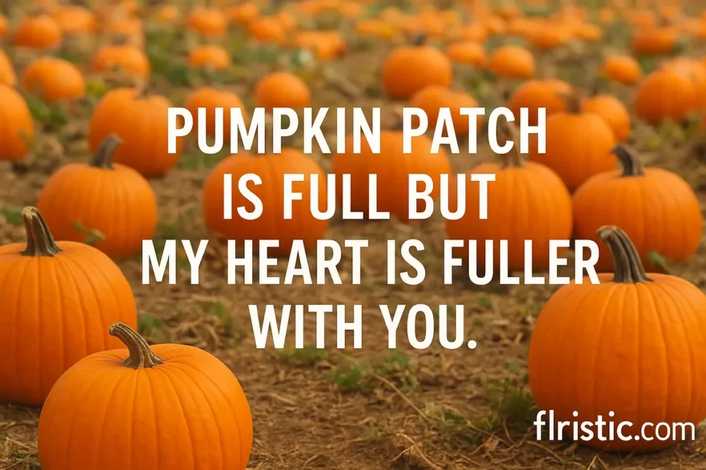Pumpkin patch is full but my heart is fuller with you.
