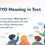 WYO Meaning in Text
