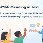 LMSS Meaning in Text